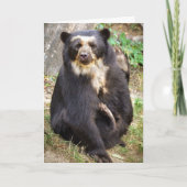 Spectacled Bear Scratchings Karte (Vorderseite)
