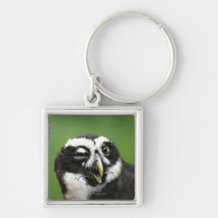 Spectacled Eule (Pulsatrix perspicillata) Schlüsselanhänger