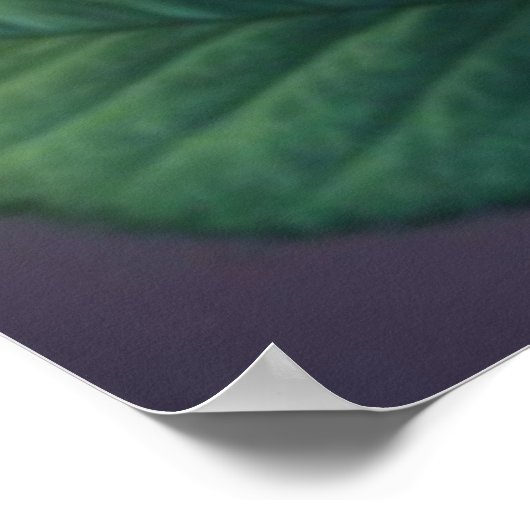 Spectrum Bloom - Vivid Rainbow Rose Poster (Ecke)