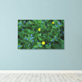 Speedwell und Buttercups Leinwanddruck (Insitu (Holzboden))