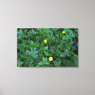 Speedwell und Buttercups Leinwanddruck