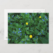 Speedwell und Buttercups Postkarte (Vorne/Hinten)