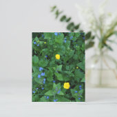 Speedwell und Buttercups Postkarte (Stehend Vorderseite)