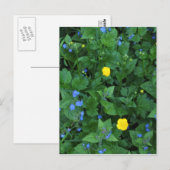 Speedwell und Buttercups Postkarte (Vorne/Hinten)
