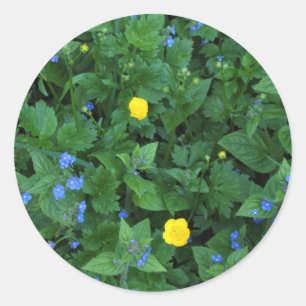 Speedwell und Buttercups Runder Aufkleber