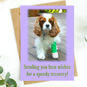 Speedy Erholung bekommt gut Spaniel Card Karte