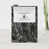 Speicherfreigabekarte für Kardinal Feiertagskarte (Rückseite)