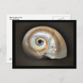 Speicherkarte für den Strand Postkarte (Vorne/Hinten)