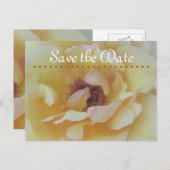 Speichern der Datumskarten Ankündigungspostkarte (Vorne/Hinten)