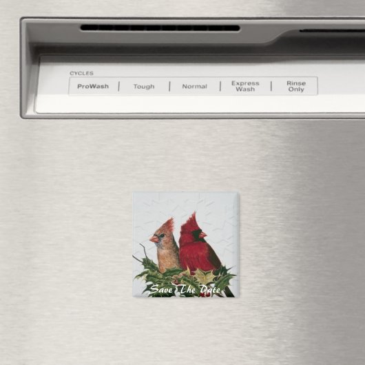 Speichern des Datumsfelds Magnet (In Situ (Geschirrspüler))