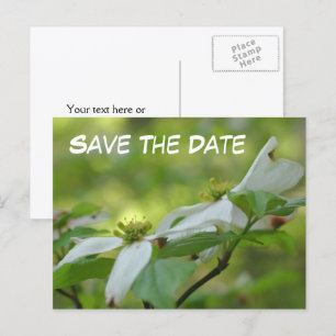 Speichern Sie das Datum Blumenfoto des Hartriegels Ankündigungspostkarte
