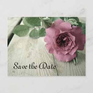 Speichern Sie das Datum Pink Rose Postkarte