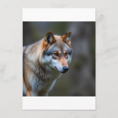 Speisekarten menükarte (Rückseite)