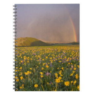 Spekatakuläre Wildblumenwiese bei Sonnenaufgang in Notizblock