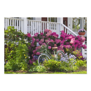 Spektakuläre Frühlingsblüte, skurrile Antike Fotodruck