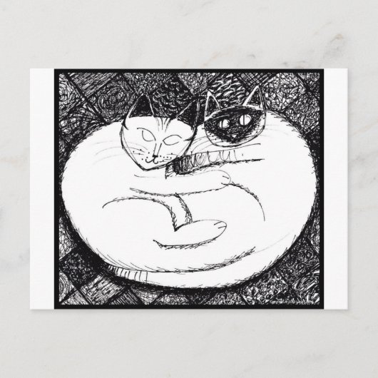 Spektakuläre Katzen 3 Postkarte (Vorderseite)
