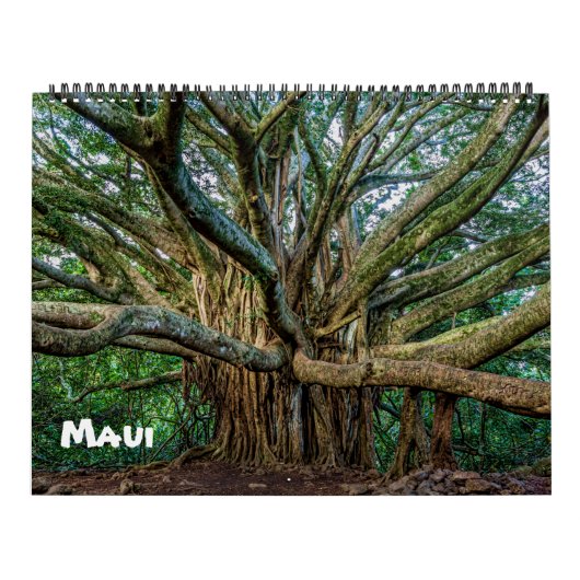 Spektakuläre Maui Kalender (Titelbild)