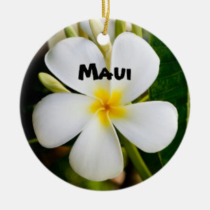 Spektakuläre Maui Keramikornament