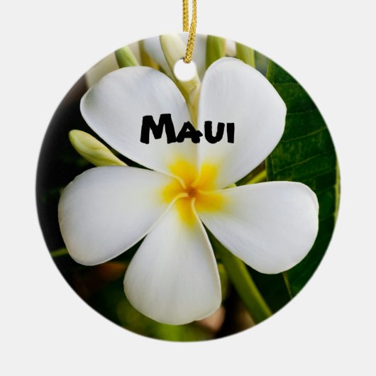Spektakuläre Maui Keramikornament (Vorne)