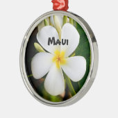 Spektakuläre Maui Ornament Aus Metall (Links)
