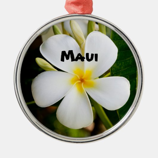 Spektakuläre Maui Ornament Aus Metall (Vorne)