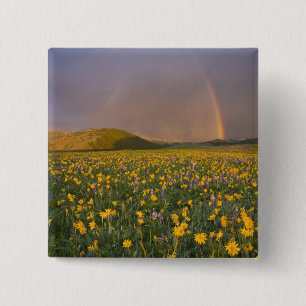 Spektakuläre Wildblume bei Sonnenaufgang im 2. Button