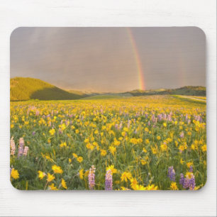 Spektakuläre Wildblume Wiese bei Sonnenaufgang in Mousepad