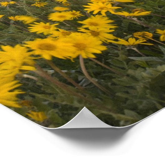 Spektakuläre Wildblume Wiese bei Sonnenaufgang Poster (Ecke)