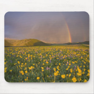 Spektakuläre Wildblumenwiese bei Sonnenaufgang in Mousepad