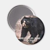 Spektakulärer Bear グネ Skripte Magnet (Vorderseite/Rückseite)
