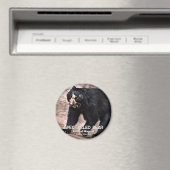 Spektakulärer Bear グネ Skripte Magnet (In Situ (Geschirrspüler))