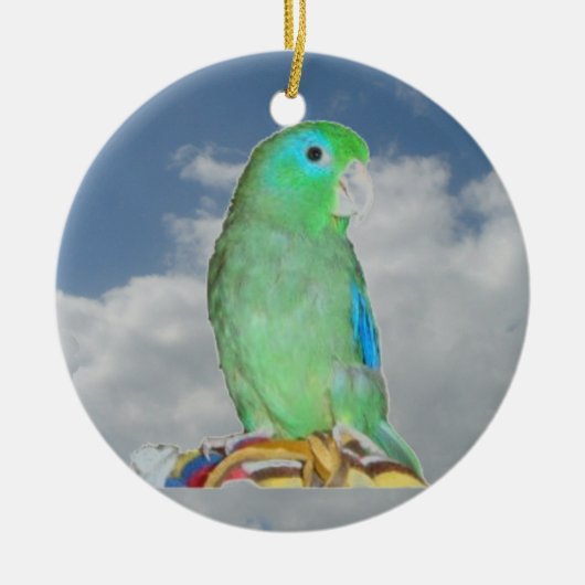 Spektakulärer Parrotlet Keramik Ornament (Vorne)