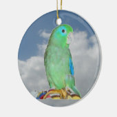 Spektakulärer Parrotlet Keramik Ornament (Links)