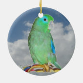 Spektakulärer Parrotlet Keramik Ornament (Hinten)