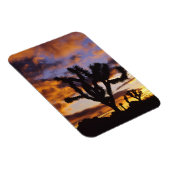 Spektakulärer Sonnenaufgang am Joshua Tree Nationa Magnet (Rechte Seite)