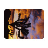 Spektakulärer Sonnenaufgang am Joshua Tree Nationa Magnet (Horizontal)