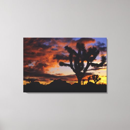 Spektakulärer Sonnenaufgang auf Joshua Tree Nation Leinwanddruck (Vorderseite)