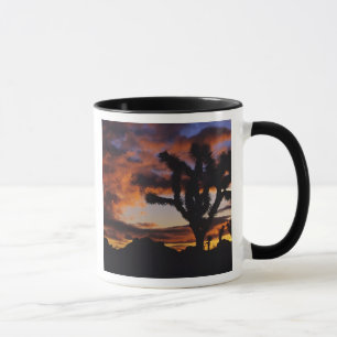 Spektakulärer Sonnenaufgang auf Joshua Tree Nation Tasse