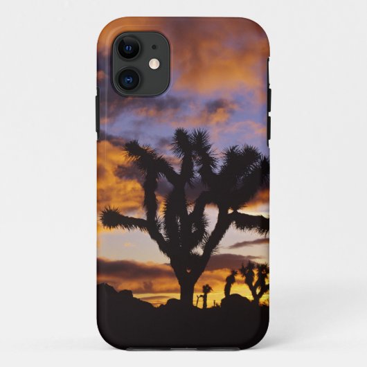 Spektakulärer Sonnenaufgang im Joshua-Tree-Nationa Case-Mate iPhone Hülle (Rückseite)