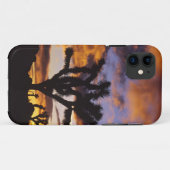 Spektakulärer Sonnenaufgang im Joshua-Tree-Nationa Case-Mate iPhone Hülle (Rückseite (Horizontal))