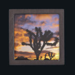 Spektakulärer Sonnenaufgang im Joshua-Tree-Nationa Schachtel<br><div class="desc">COPYRIGHT Chuck Haney / DanitaDelimont.com| US05 CHA0025.jpg| Spektakulärer Sonnenaufgang im Joshua Tree Nationalpark in Kalifornien</div>