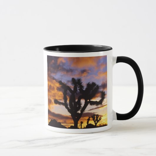 Spektakulärer Sonnenaufgang im Joshua-Tree-Nationa Tasse (Rechts)