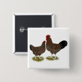Spekulationen mit Sussex Chickens Button (Vorne & Hinten)