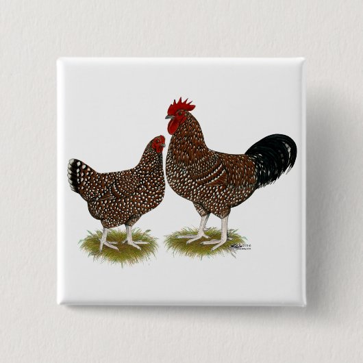 Spekulationen mit Sussex Chickens Button (Vorderseite)