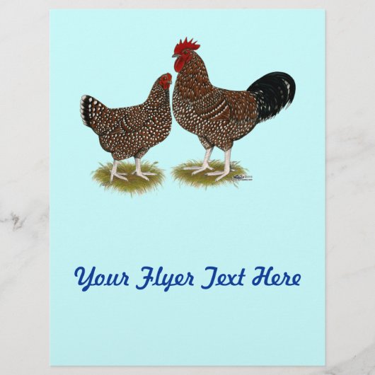 Spekulationen mit Sussex Chickens Flyer (Vorne)