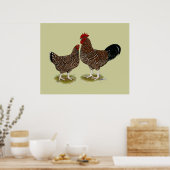 Spekulationen mit Sussex Chickens Poster (Küche)
