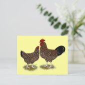 Spekulationshühner Postkarte (Stehend Vorderseite)