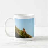 Sperber Kaffeetasse (Links)