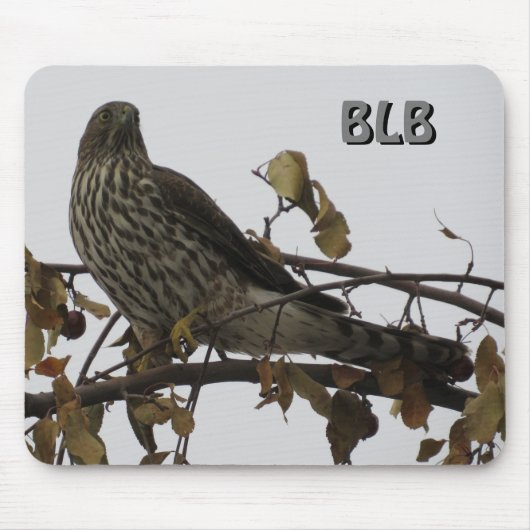 Sperberbaum Ihr Initialen Mousepad (Vorne)