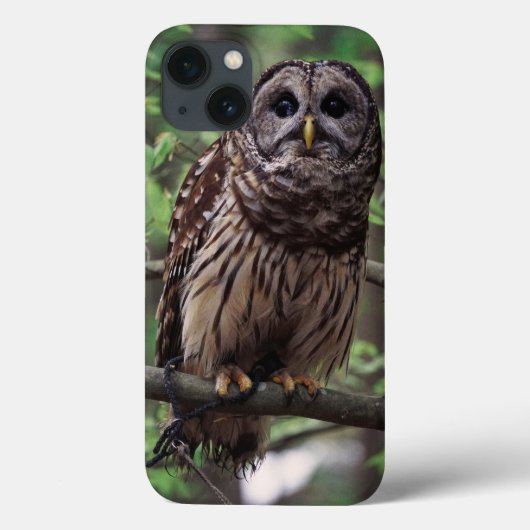 Sperbereule Case-Mate iPhone Hülle (Rückseite)